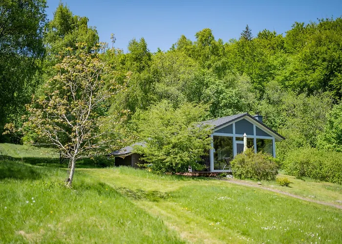 4 Personen Mit Sauna F4h0 * Ruhla